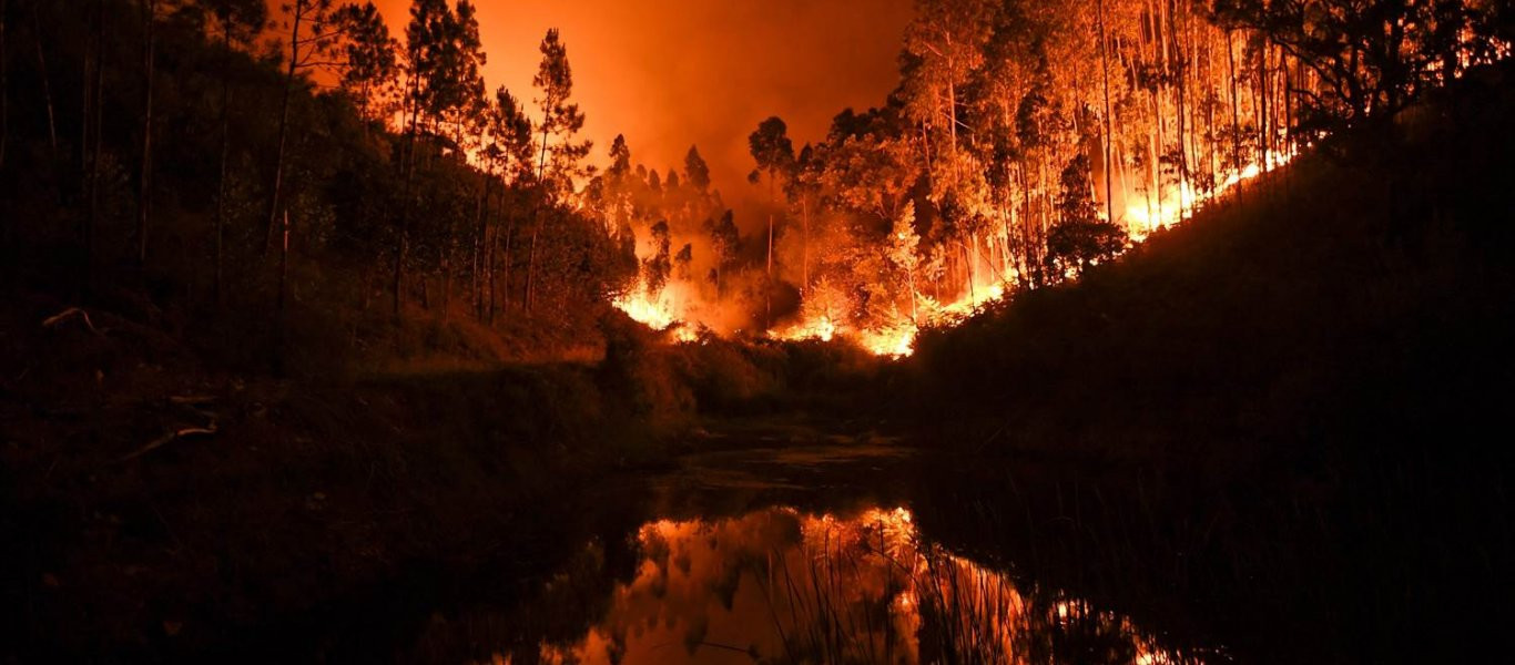 Πορτογαλία: 45 άνθρωποι έχουν χάσει τις ζωές τους από τις καταστροφικές πυρκαγιές